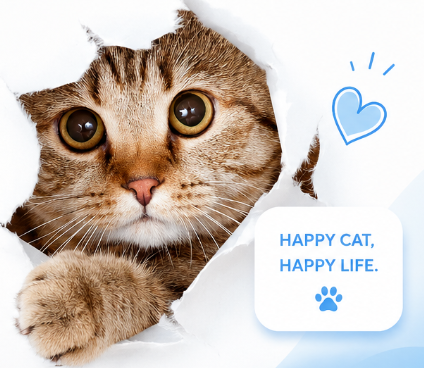 Cats
