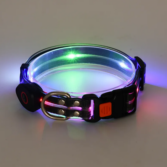 Rechargeable LED Dog Collar & Nylon Leash Set | Adjustable Safety Collar for Night Walks