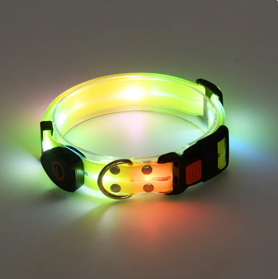 Rechargeable LED Dog Collar & Nylon Leash Set | Adjustable Safety Collar for Night Walks