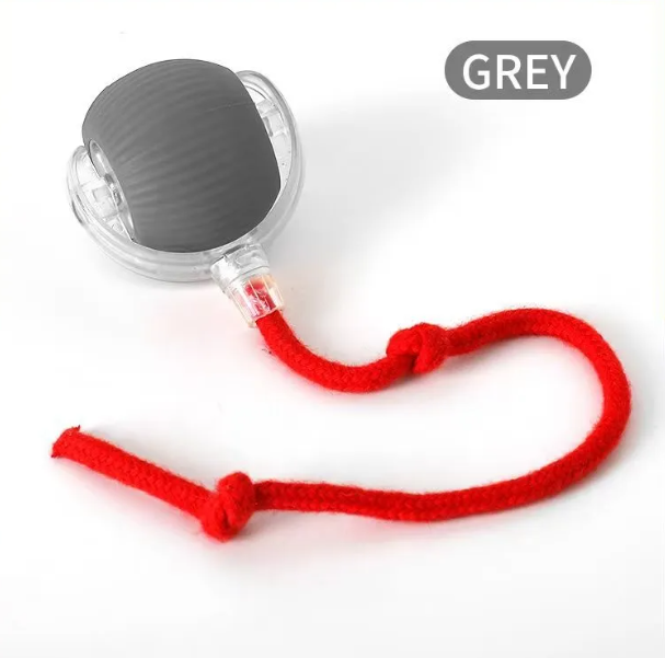 PurrPlay Self-Rolling Cat Toy Ball | Interactive Automatic Cat Exercise Toy