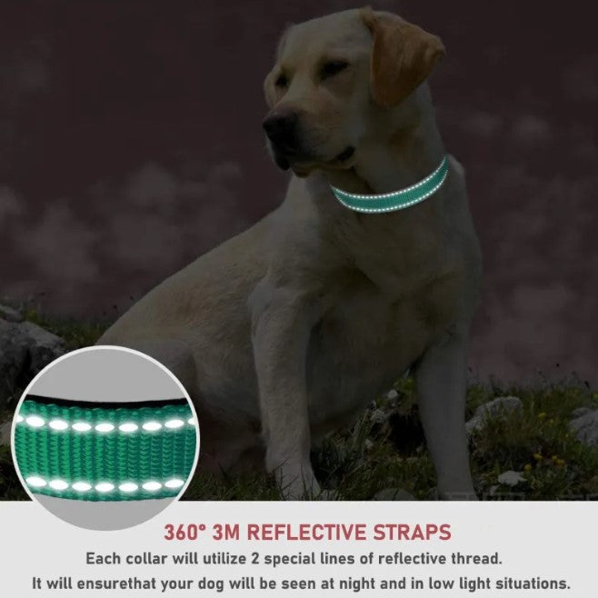 Adjustable No-Pull Dog Harness | Reflective Chest Strap for Comfortable Walks